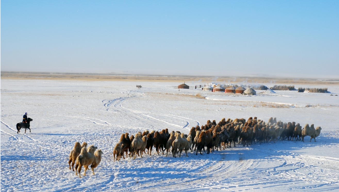 Улаанбаатарт -16 хэм хүйтэн, цас орохгүй