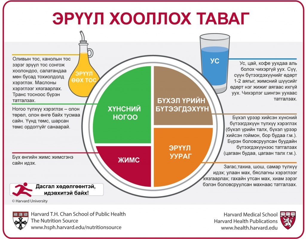 Монгол хүмүүст тохирох эрүүл хооллох таваг