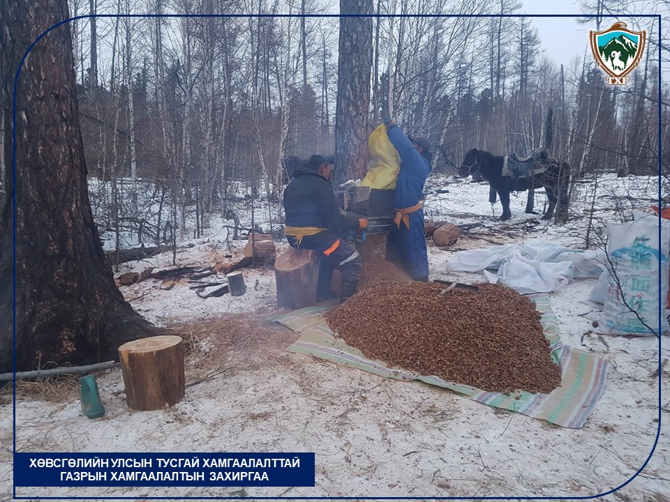 Самар түүж байсан 90 орчим иргэдийг уулнаас буулгажээ