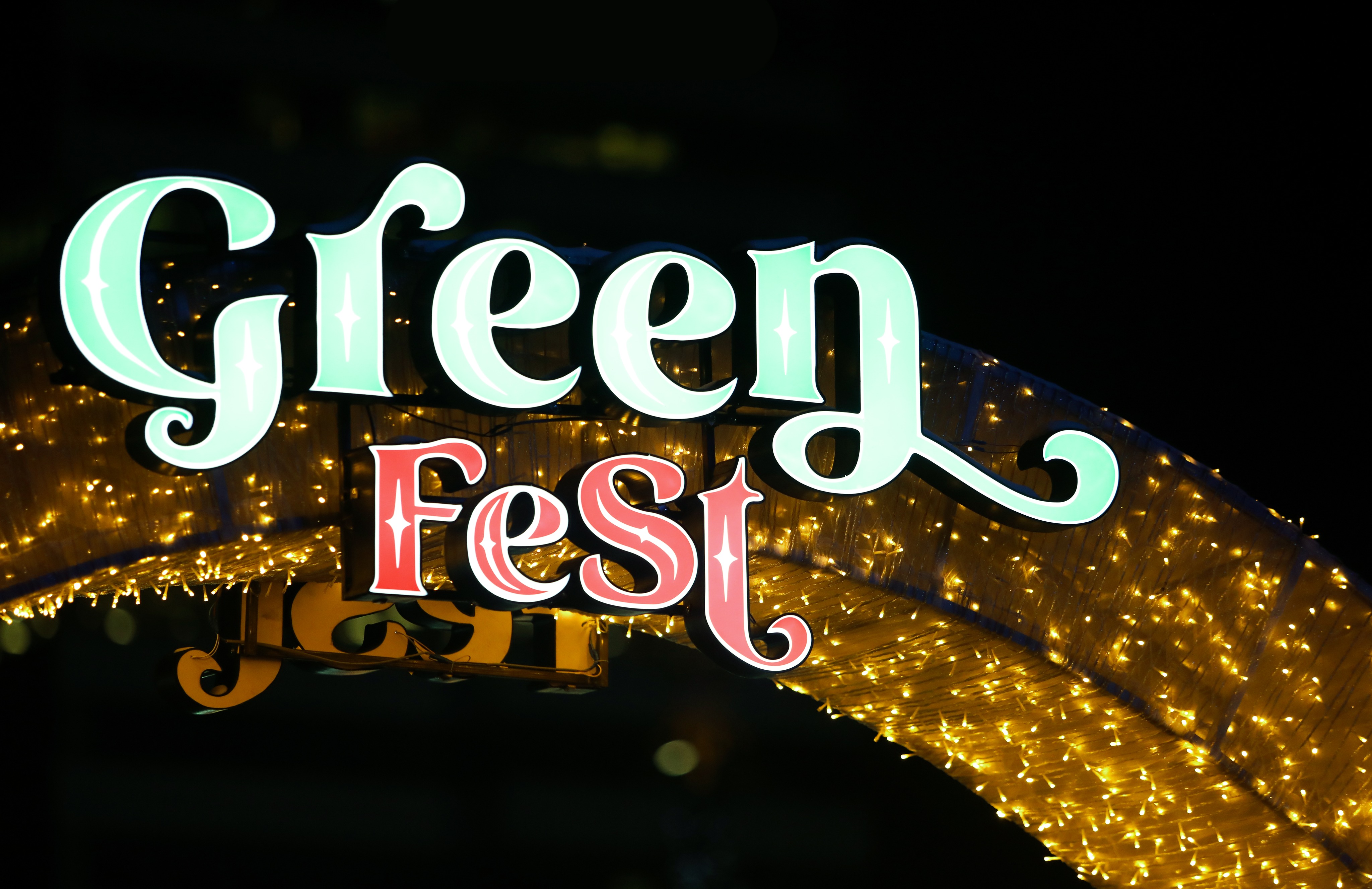 Төв талбай дээрх “Green fest-2022”