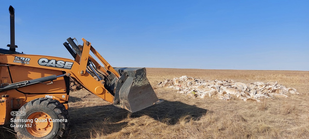 Засгийн газрын Ажлын хэсэг Дорнодод ажиллаж байна