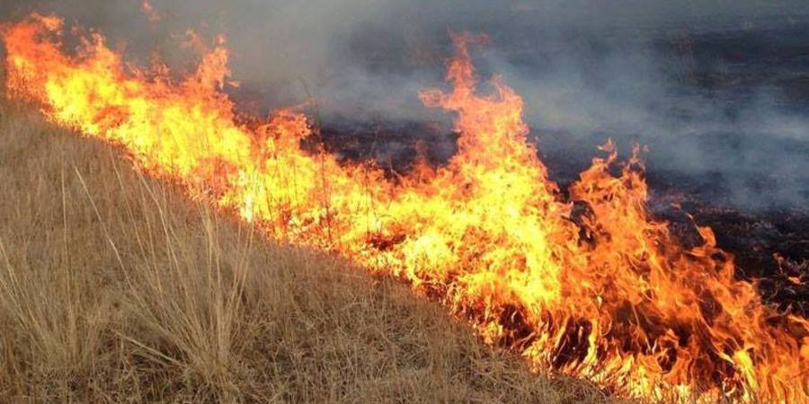 Хүйтэн булагт гарсан түймрийг бүрэн унтраажээ