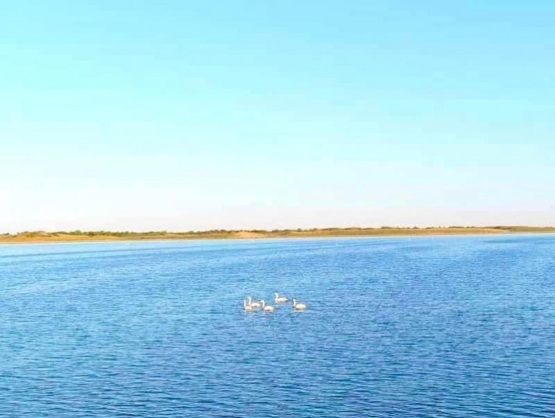 ГАНГА нуур сэргэж олныг баясгаж байна