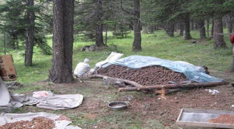 Сэлэнгэ аймгийн Хүдэр суманд энэ сарын 3-нд самарт яваад сураггүй болсон иргэнийг эсэн мэнд оллоо