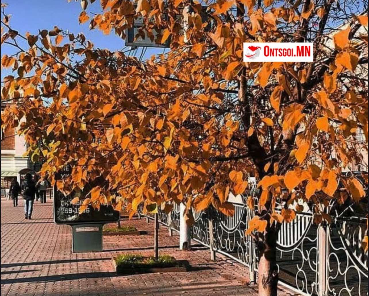 Говийн аймгуудын нутгийн зарим газраар хур тунадас орно