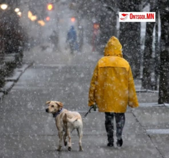 Зүүн аймгуудын нутгийн зүүн өмнөд хэсгээр цас орж, зөөлөн цасан шуурга шуурна